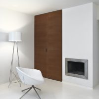 Interiors of a Modern Living Room With Fireplace